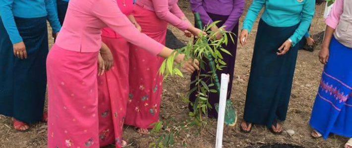 MWAFမှဖိတ်ကြားသောသစ်ပင်စိုက်ပွဲသို့တက်ရောက်ခြင်း
