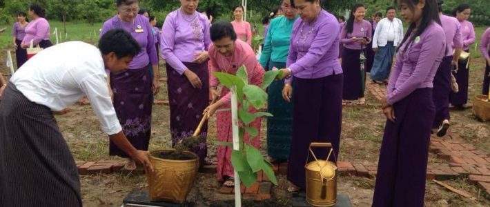 MMCWAအသင်း၏မိုးရာသီသစ်ပင်စိုက်ပွဲသို့တက်ရောက်ခြင်း