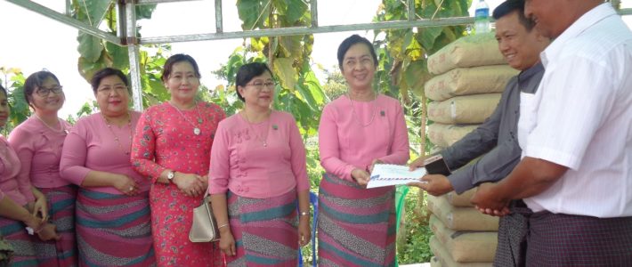 တောင်ငူမြို့၊ သုသာန်လမ်း ကွန်ကရစ်လမ်းခင်းခြင်းအတွက်အလှူငွေလှူဒါန်းခြင်း