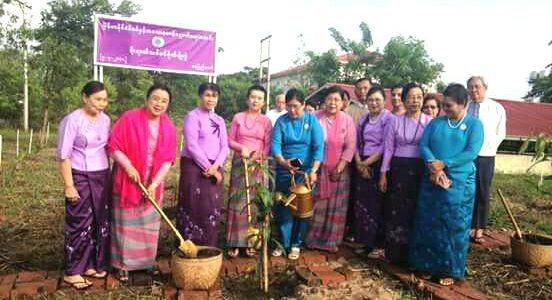 MMCWA အသင်းမှဖိတ်ကြားသော သစ်ပင်စိုက်ပျိုးပွဲအခမ်းအနားတက်ရောက်ခြင်း