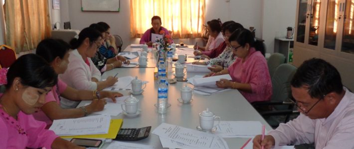 (၃၃)ကြိမ်မြောက် CEC Meeting