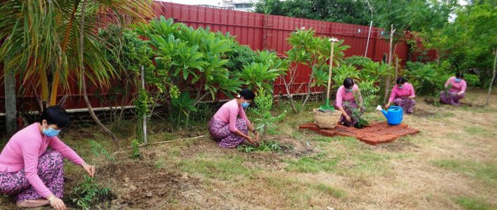 MWCDF အသင်းမှ မြန်မာအမျိုးသမီးများနေ့အကြို သစ်ပင်စိုက်ပျိုးခြင်း