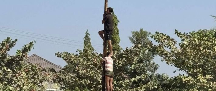 ဆုချီးမြှင့်ခြင်း