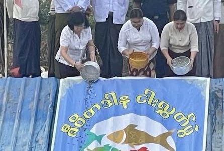 ဇီဝိတဒါန ငါးလွှတ်ခြင်း ဇီဝိတဒါန ငါးလွှတ်ခြင်း