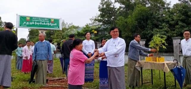 သစ်ပင်စိုက်ပျိုးခြင်း