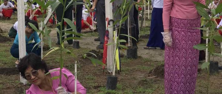 သစ်ပင်စိုက်ပျိုးပွဲ အခမ်းအနား သစ်ပင်စိုက်ပျိုးပွဲ အခမ်းအနား